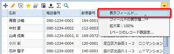 表示フィールド